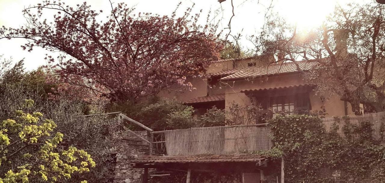 مبيت وإفطار فينالي ليغوري L'Uliveto D'Argento المظهر الخارجي الصورة