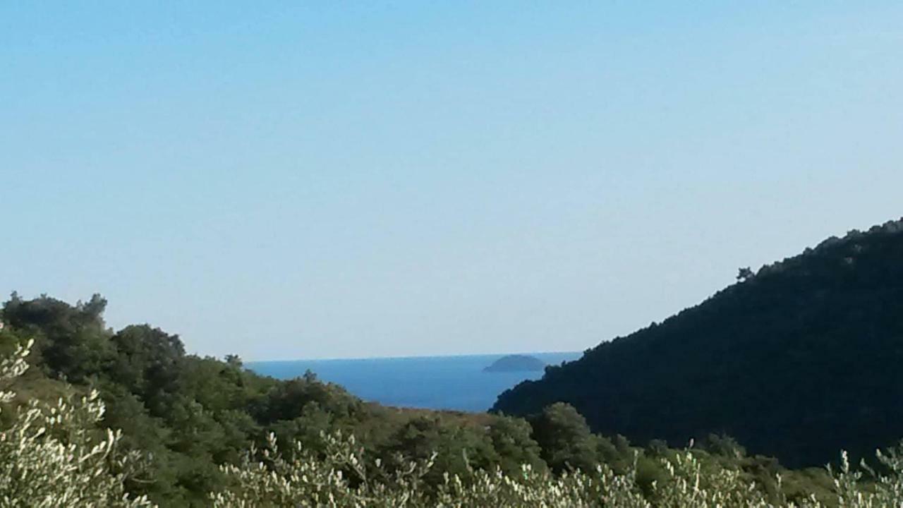 مبيت وإفطار فينالي ليغوري L'Uliveto D'Argento المظهر الخارجي الصورة